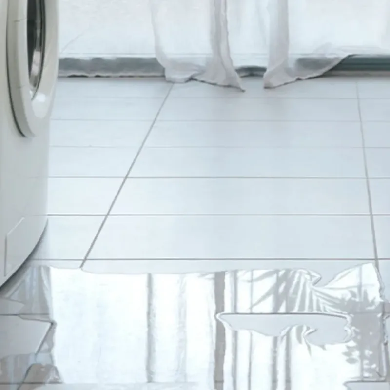 Appliance Leak Cleanup in Shoshone, ID